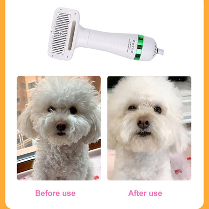 Secador Cepillo Pelo Mascotas 2 En 1 🐶 ENVÍO GRATIS ✨
