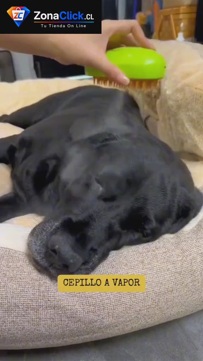 Cepillo Quitapelo a Vapor Recargable para Mascotas + ENVÍO GRATIS + PAGA AL RECIBIR
