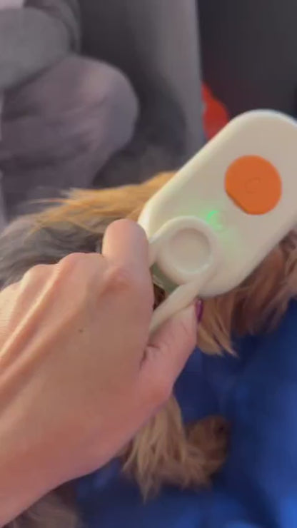 🐶🐱Cepillo a Vapor + GUANTE QUITAPELOS DE REGALO + ENVIO GRATIS + PAGA AL RECIBIR🏡